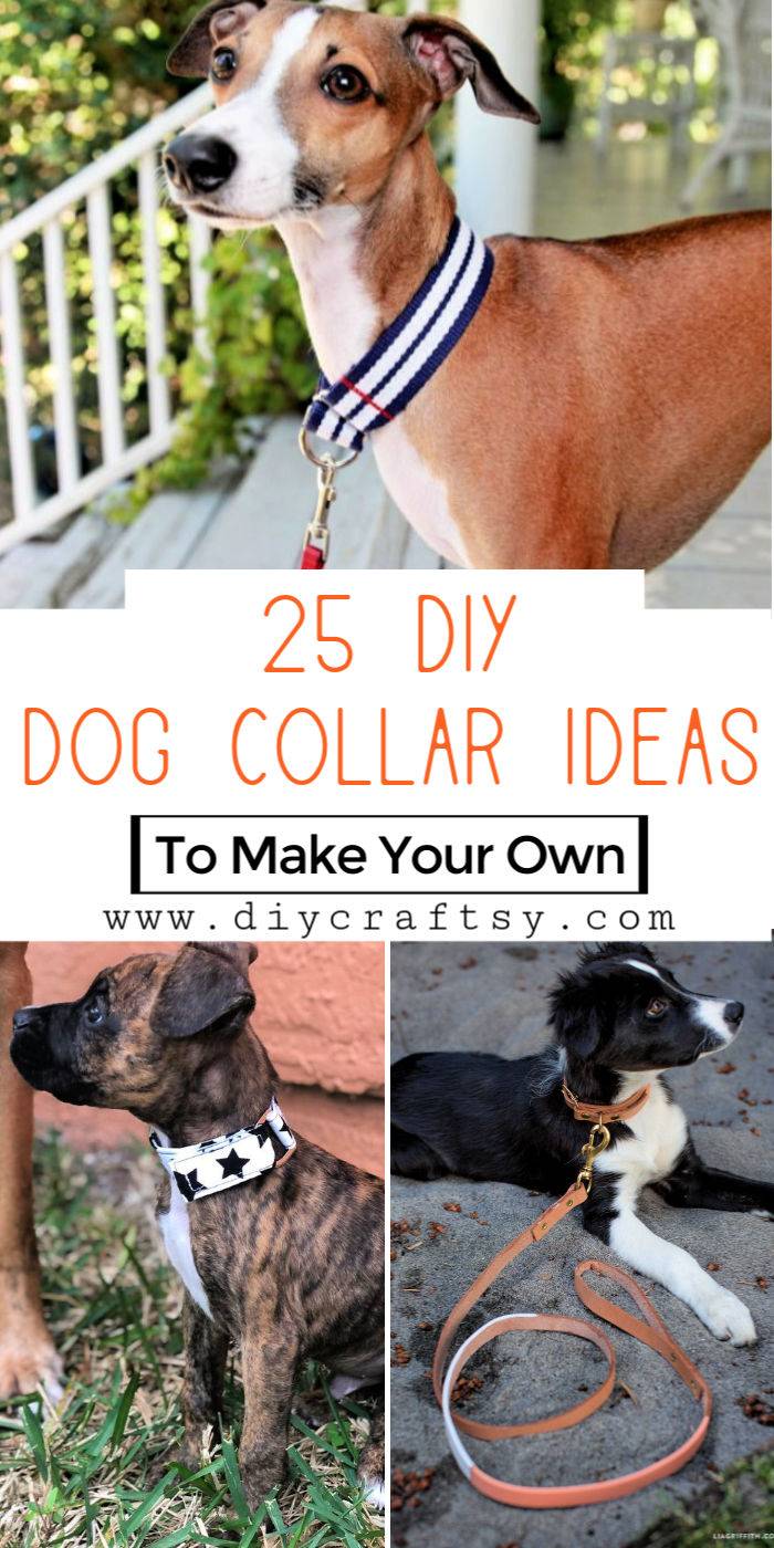 25 Personalized DIY Dog Collar Ideas To Make Your Own