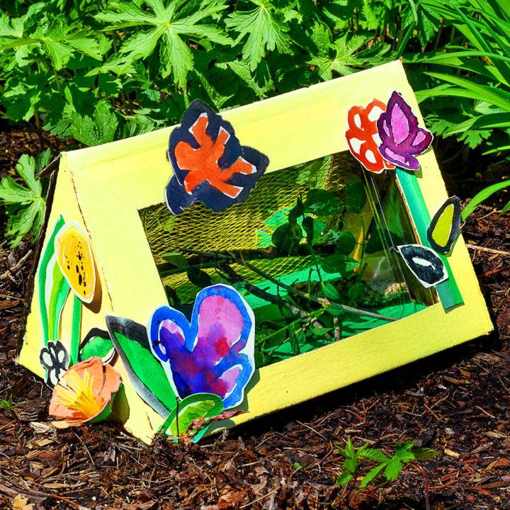 Bug Observation Box From Recycled Supplies