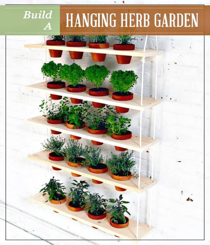 Build A Hanging Herb Garden - DIY