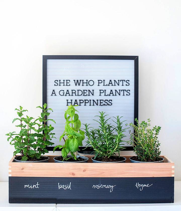 DIY Herb Garden Planter 1