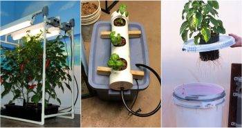 DIY hydroponic systems