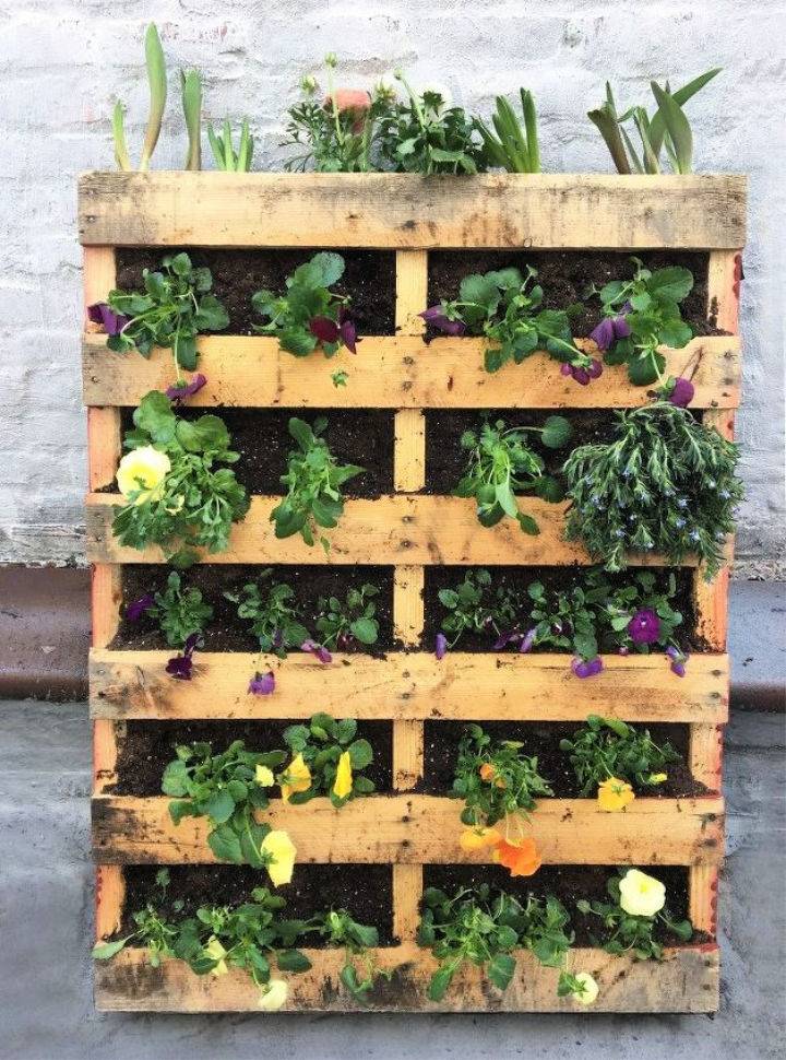 How to Make Your Own Pallet Garden