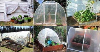 DIY pvc greenhouses