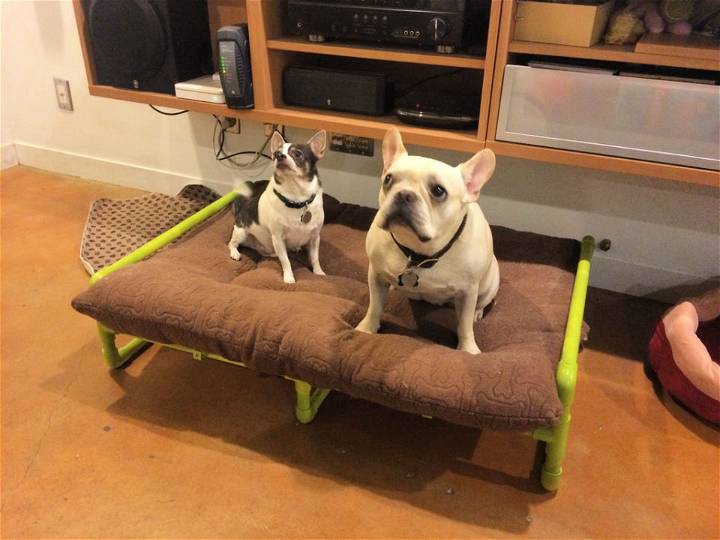 DIY Pvc Pipe Raised Dog Bed