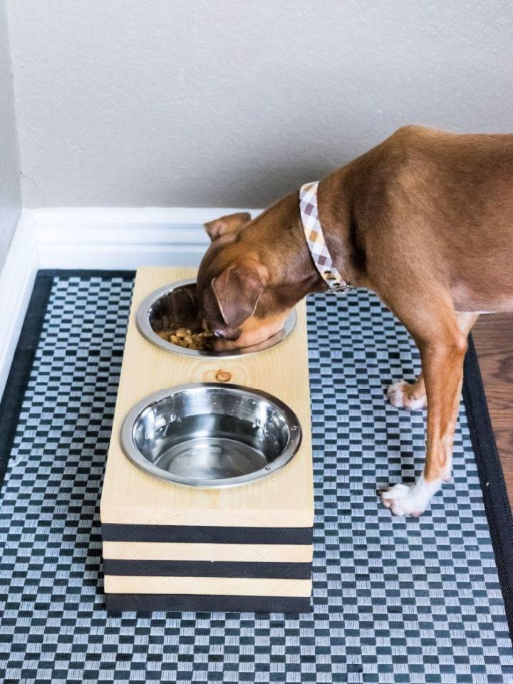 Build Your Own Raised Dog Bowls