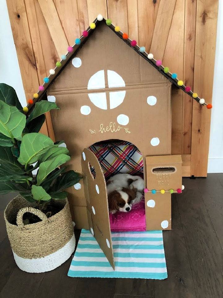 Dog Playhouse Out of a Box
