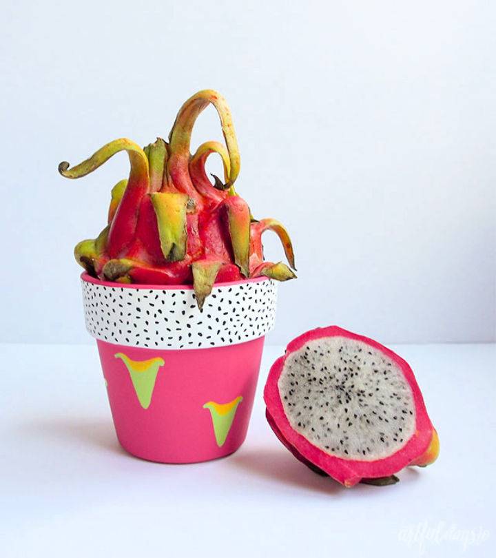 Cool Painted Terra Cotta Pot Dragon Fruit Craft