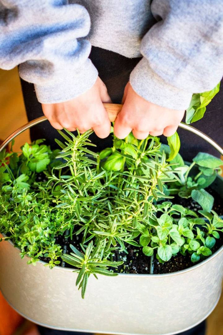 Easy DIY Indoor Herb Planter in 10 Minutes