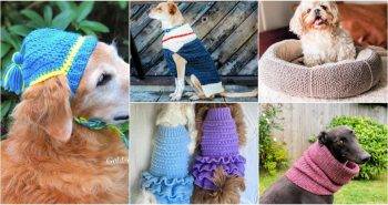 free crochet patterns for dogs