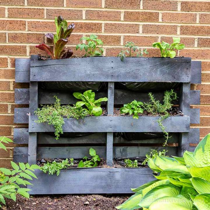 Beautiful and Functional Pallet Garden