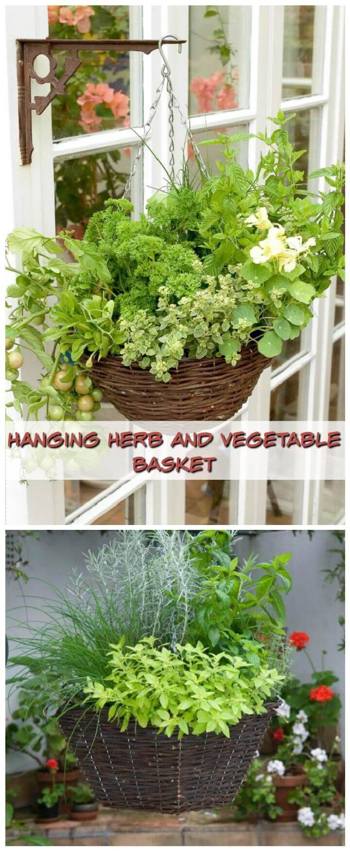 Hanging Herb And Vegetable Basket