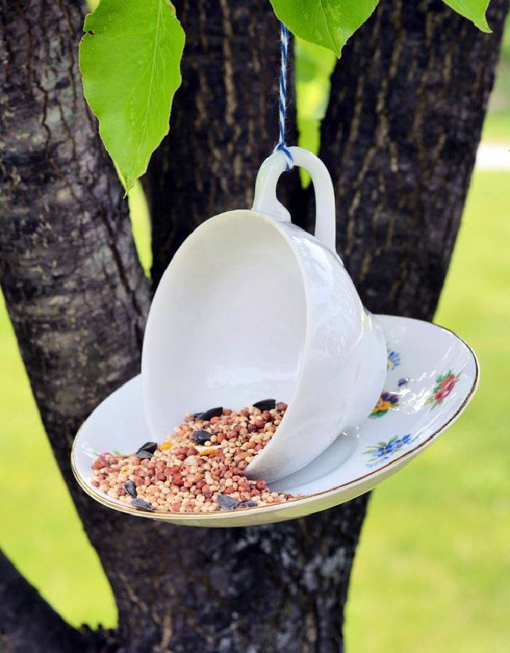 Hanging Teacup Bird Feeder in Garden