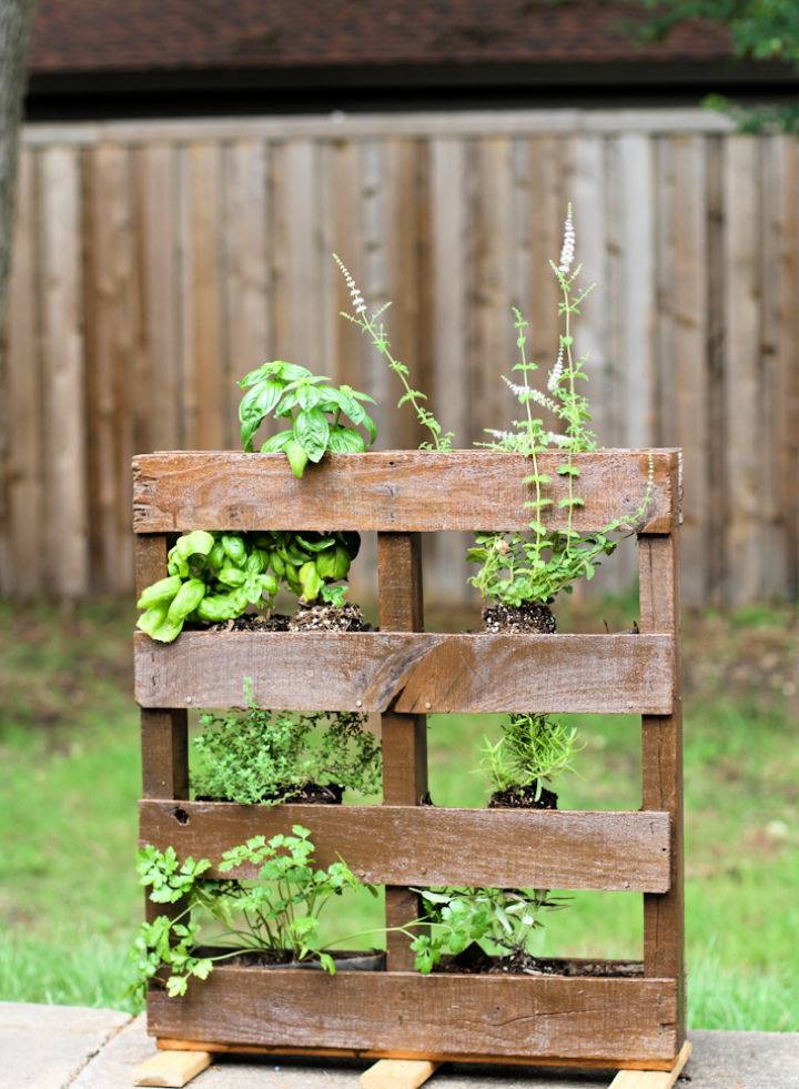 DIY Pallet Herb Garden at Home