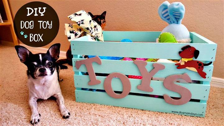 How to Build a Dog Toy Storage Box