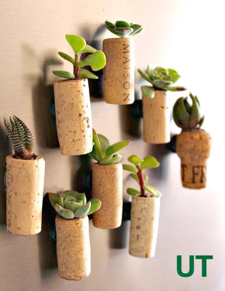 Easy and Adorable Magnetic Cork Planters
