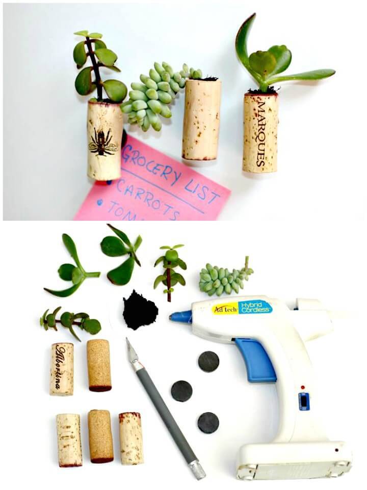How To DIY Tiny Succulent Planter Magnets