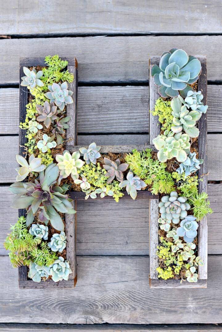 How To Make Wall-Mounted Succulent Letter - DIY