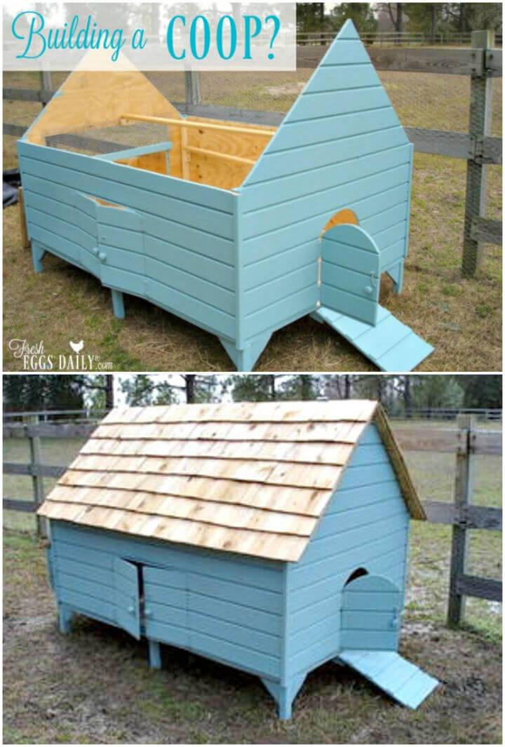Create Your Own Chicken Coop