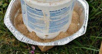 Make Chicken Waterer and Feeder from 5 gallon Buckets