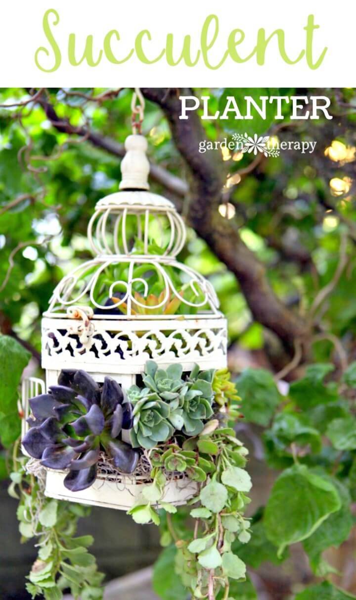 Make Your Own Birdcage Succulent Planter - DIY