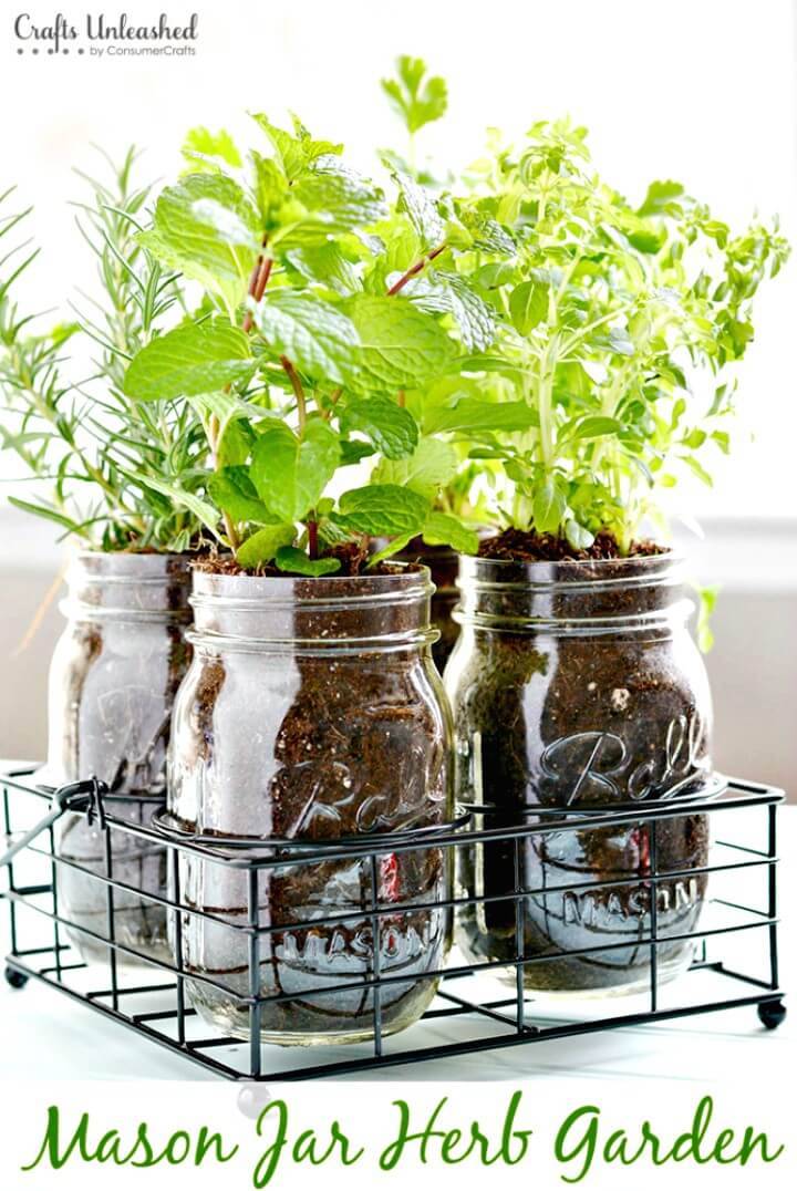 Make Your Own Mason Jar Herb Garden - DIY
