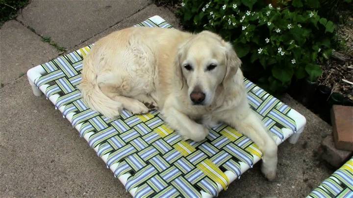 Make Your Own Raised Dog Bed With Pvc