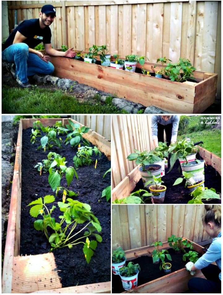 Make Your Own Raised Garden Beds - DIY