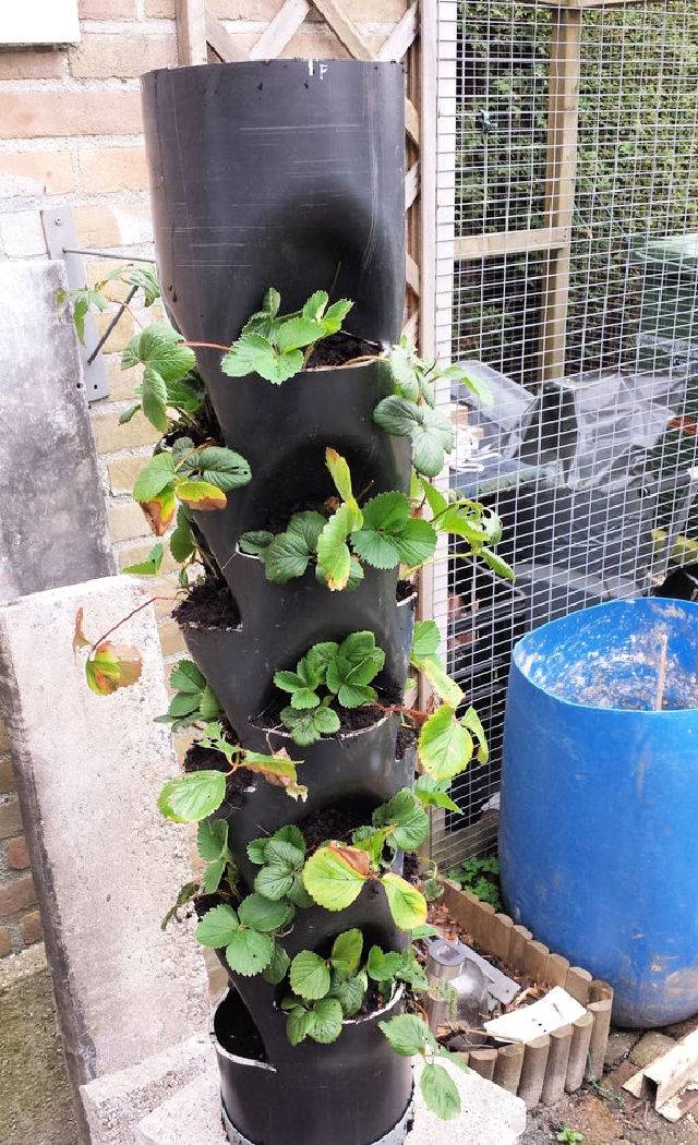 Making a Plant Tower Out of Pvc Pipe