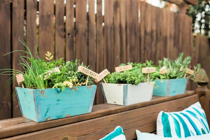 Portable DIY Mini Herb Garden