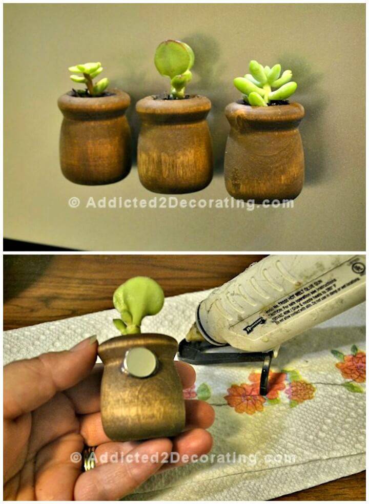 How to Make Miniature Succulent Planter Refrigerator Magnets Tutorial