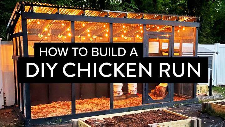 Modern DIY Chicken Run