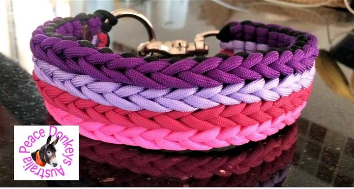 How to Make a Serenity Dog Collar