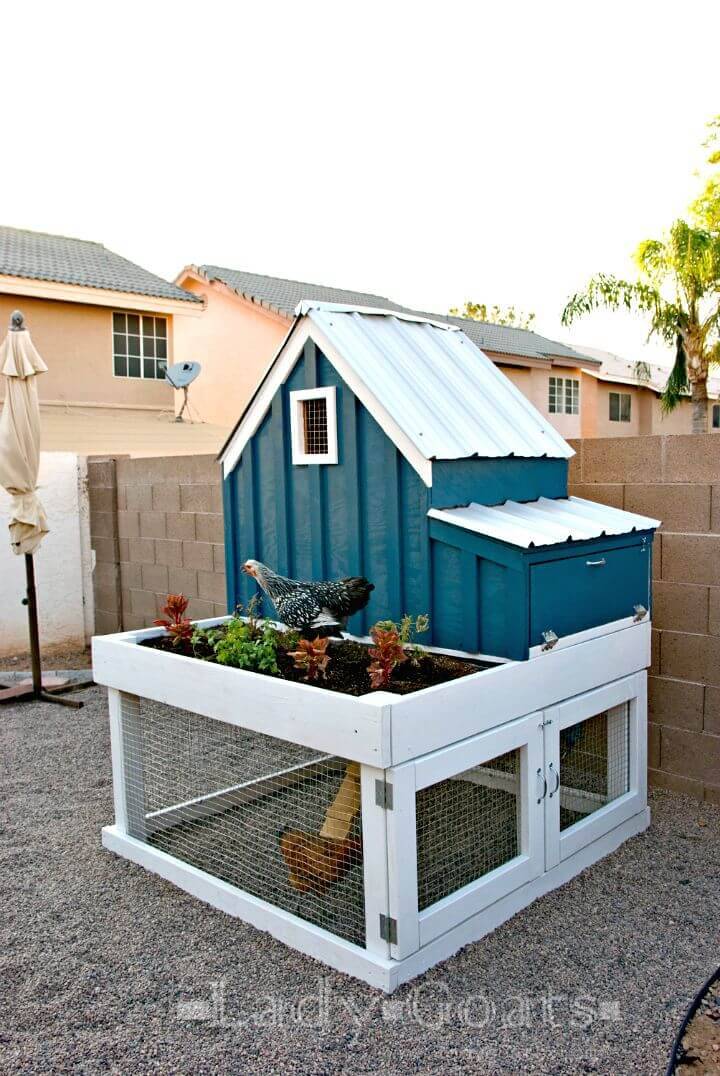 DIY Small Chicken Coop With Planter