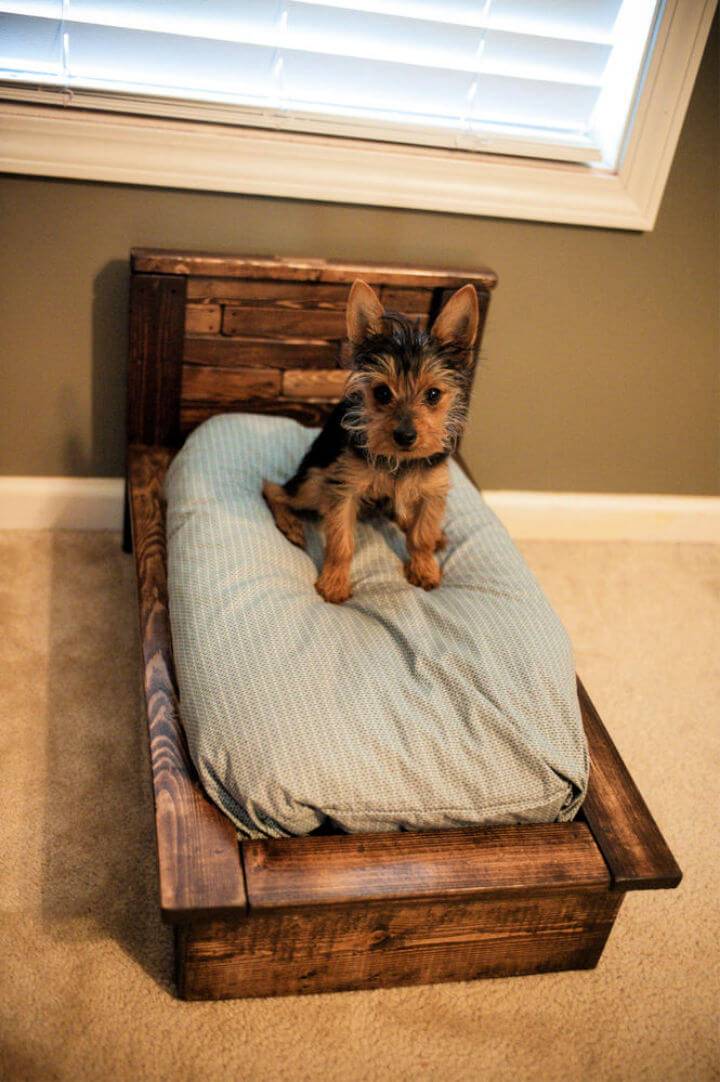 How to Turn a Pallet into Dog Bed